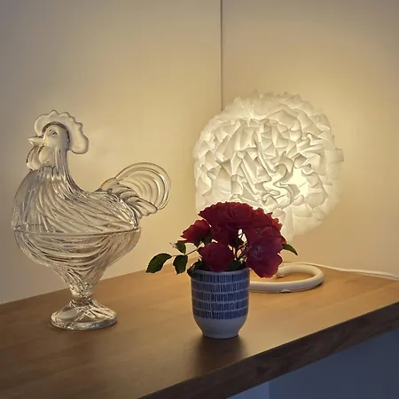 Agnes Little Corner Daire *