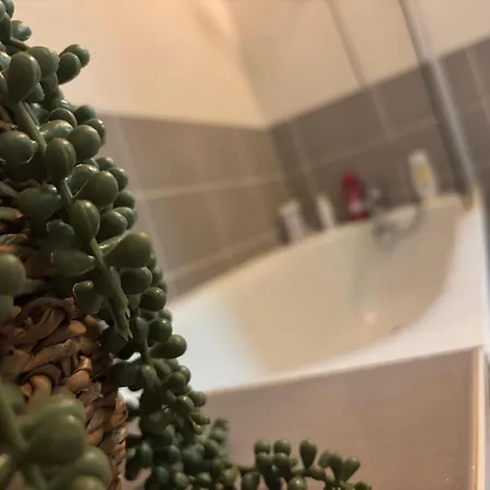 Agnes Little Corner Apartment