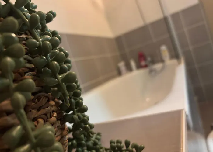 Agnes Little Corner דירה