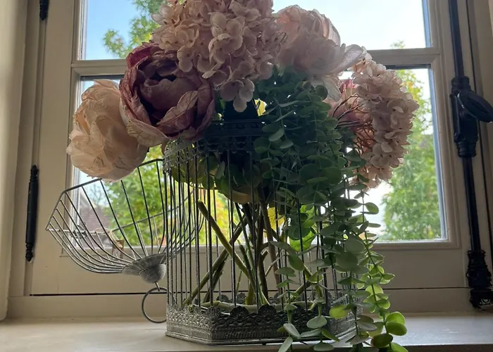 Agnes Little Corner * הונפלר